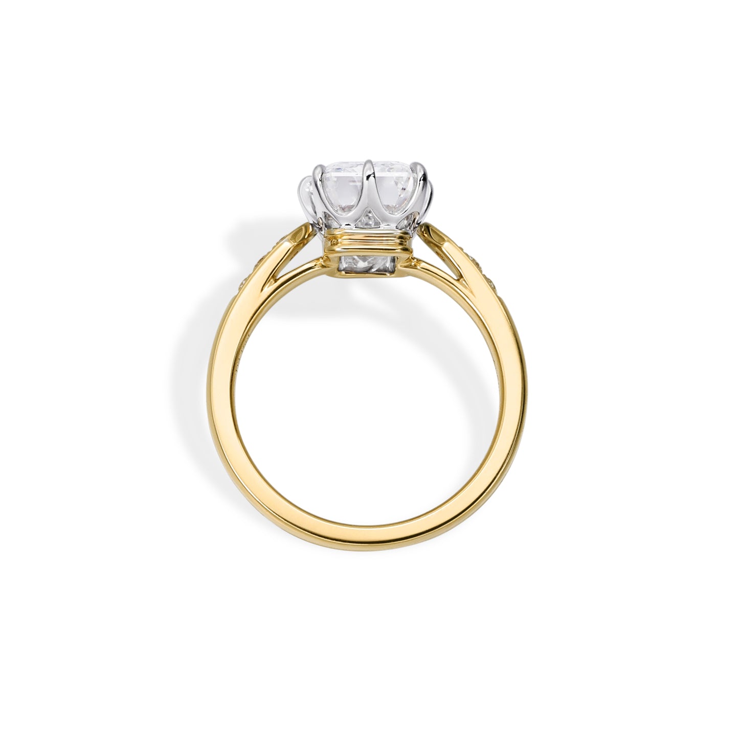 Carmine-Emerald Cut Lab Grown Diamond Engagement Ring