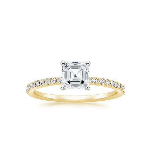 Brisbane Ring, Rings