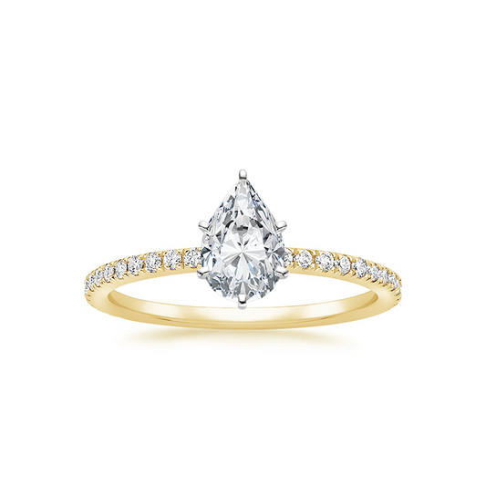 Bathurst Ring, Rings