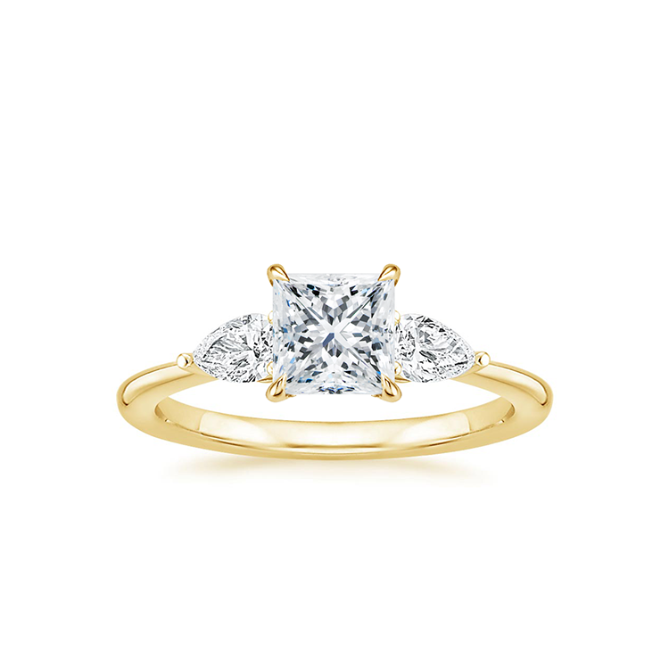 Cambridge Ring, Rings