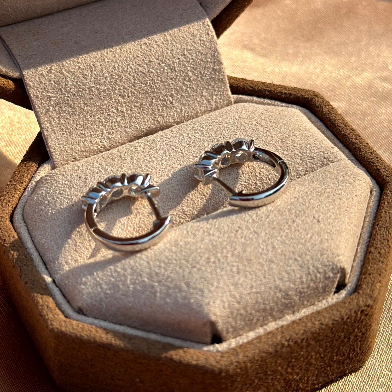Platinum Round cut Diamond Huggie Hoop Earrings In Elora Jewelry Box