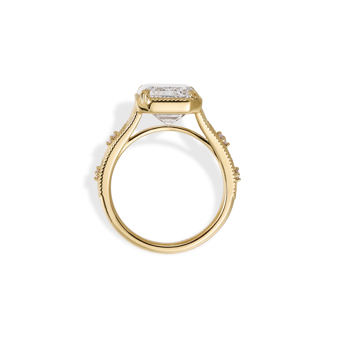 Aurelia-Emerald Cut Lab Grown Diamond Engagement Ring viewed from the side showcasing the elaborate setting and diamond details.