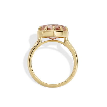 Custom Order Deposit - Honey -4.78ct Heart Cut Lab Diamond Ring