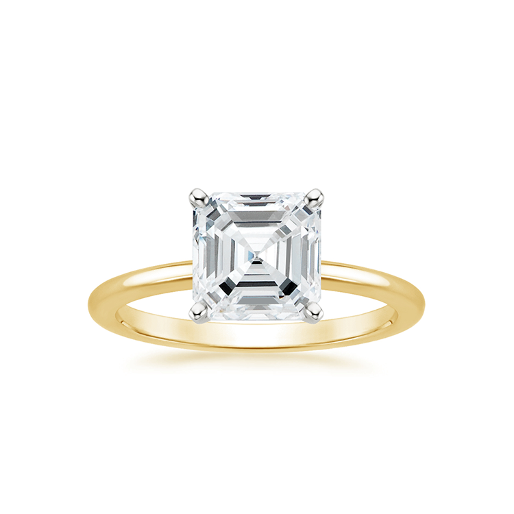 Wollongong Ring, Rings