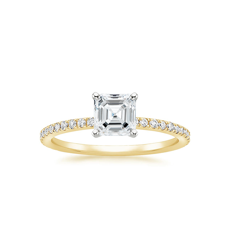 Brisbane Ring, Rings