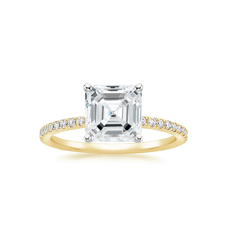 Brisbane Ring, Rings