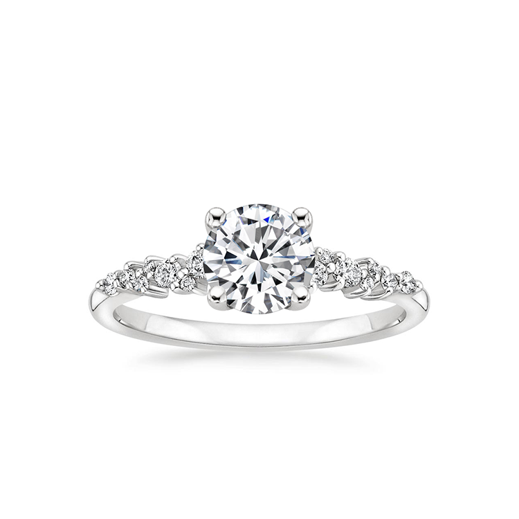 Providence Ring, Rings